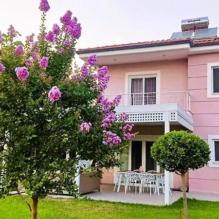Seaside Boutique Villa Rosee 别墅 普拉卡利特索罗