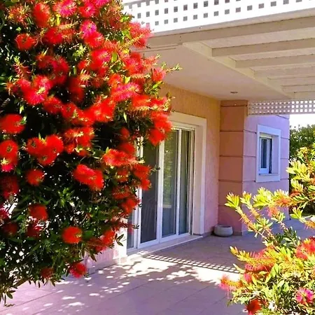 Seaside Boutique Villa Rosee 别墅 *