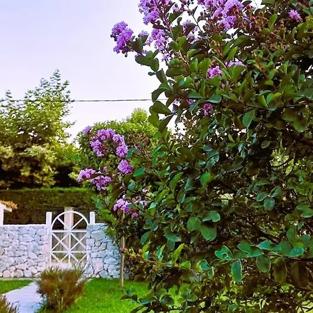 Seaside Boutique Villa Rosee * 普拉卡利特索罗