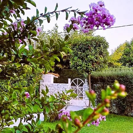 Seaside Boutique Villa Rosee 普拉卡利特索罗