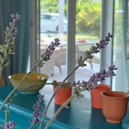 Seaside Boutique Villa Rosee 别墅 普拉卡利特索罗