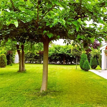 Seaside Boutique Villa Rosee 别墅 *