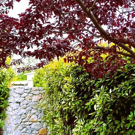 Seaside Boutique Villa Rosee 别墅
